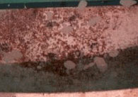 Pool time 20 algaecide